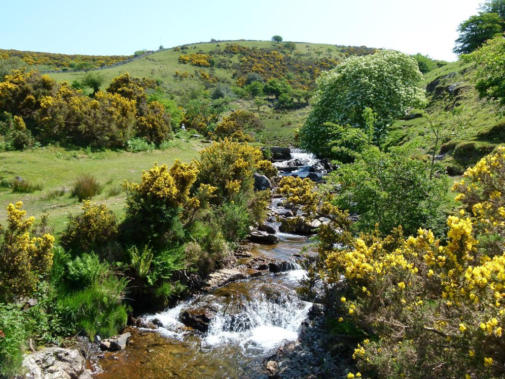 Collaven Manor Hotel Okehampton Kültér fotó
